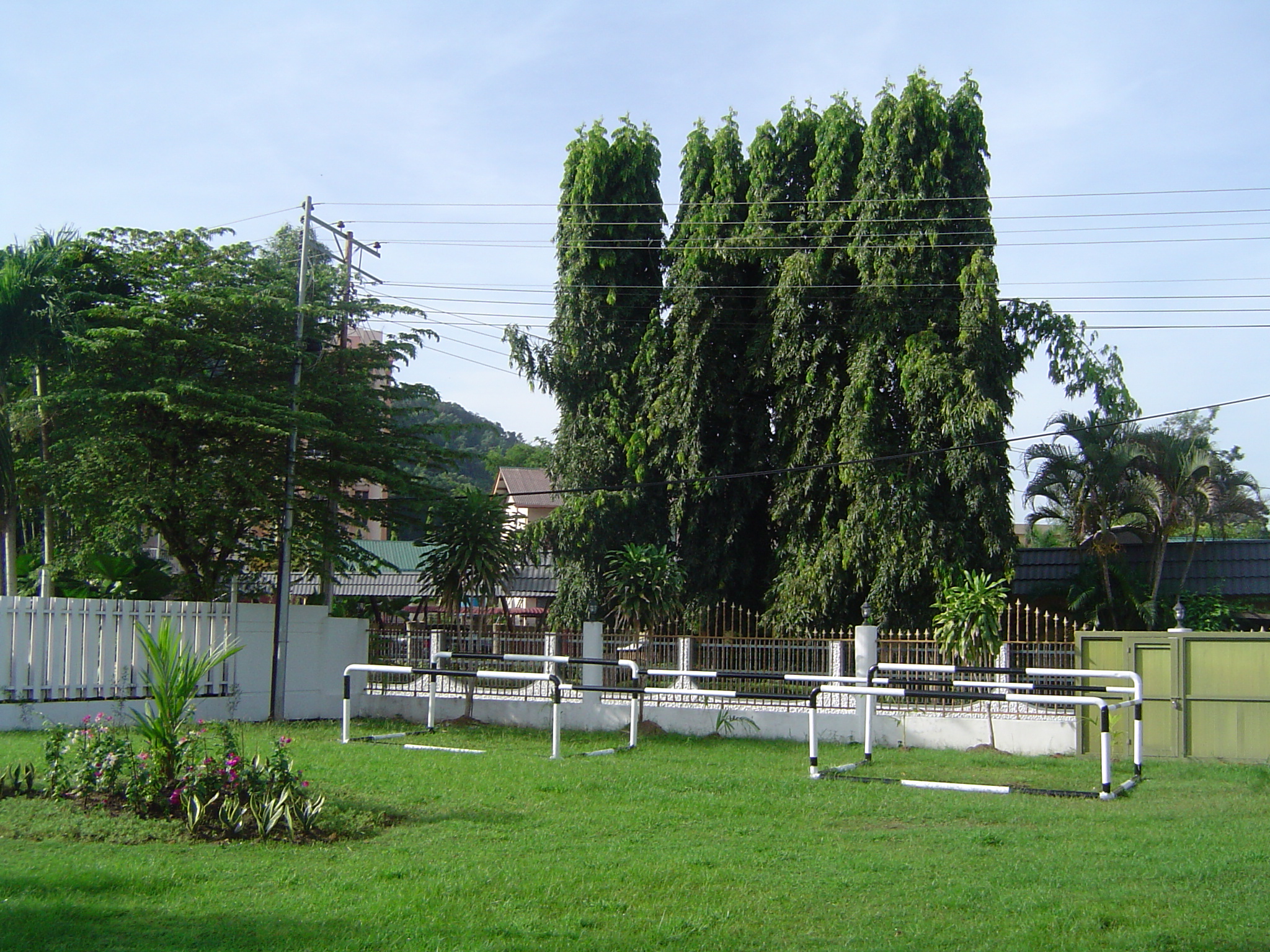 One Home Care Centre old folks home retirement homenursing homeday